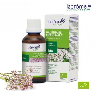 Valériane officinale Bio -...