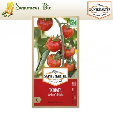 Graine Potager Bio Tomate Philamina | Semis Potager Bio Tomate Philamina –  Semences Potageres Bio – Graine Legume A Planter